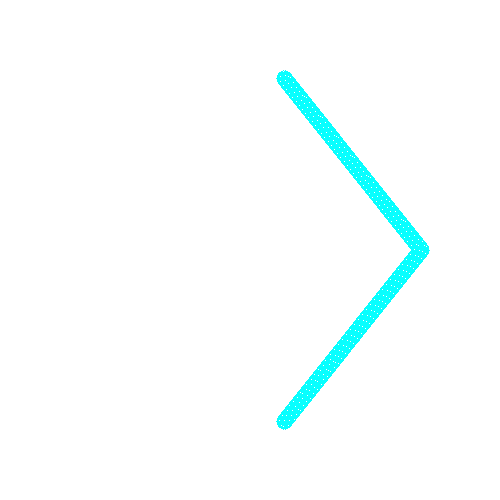 shield-icon